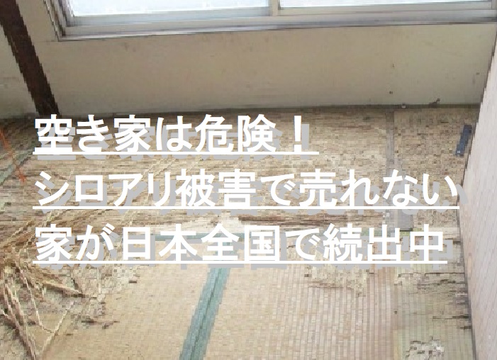 空き家は危険！シロアリ被害で売れない家が日本全国で続出中