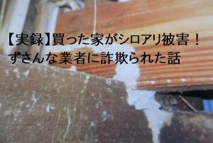 【実録】買った家がシロアリ被害！ずさんな業者に詐欺られた話